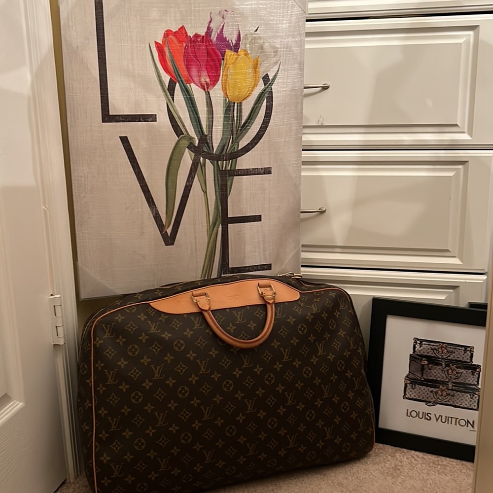 Louis Vuitton Monogram Alize de Poche Garment Bag 💕💕